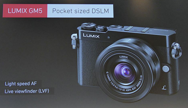 p13_LUMIX_GM5.jpg